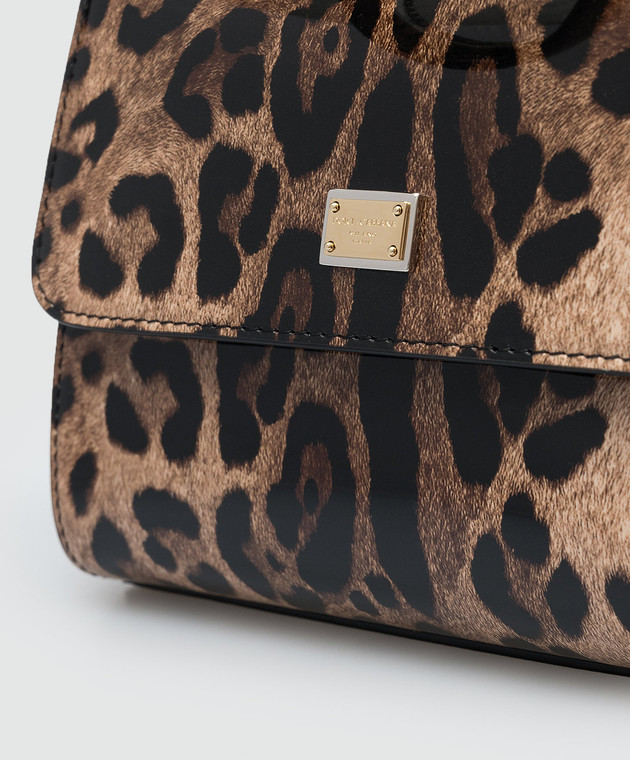 洋書 DOLCE&GABBANA animal Amazon | Animal | Dolce, Domenico, Gabbana, Stefano