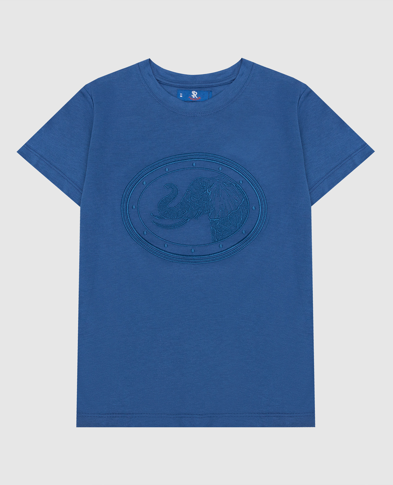 Children's blue t-shirt with embroidery
