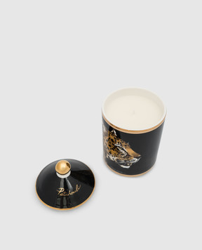 Dolce&Gabbana Свеча с ароматом пачули в фарфоровом подсвечнике TCC113TCAHZ