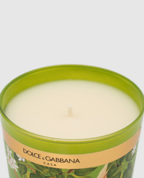 Dolce&Gabbana Свеча с ароматом сицилийского апельсина в стеклянном подсвечнике TCC087TCAIU
